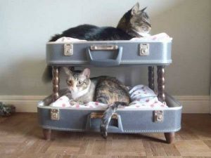 cama para gato mala de viagem